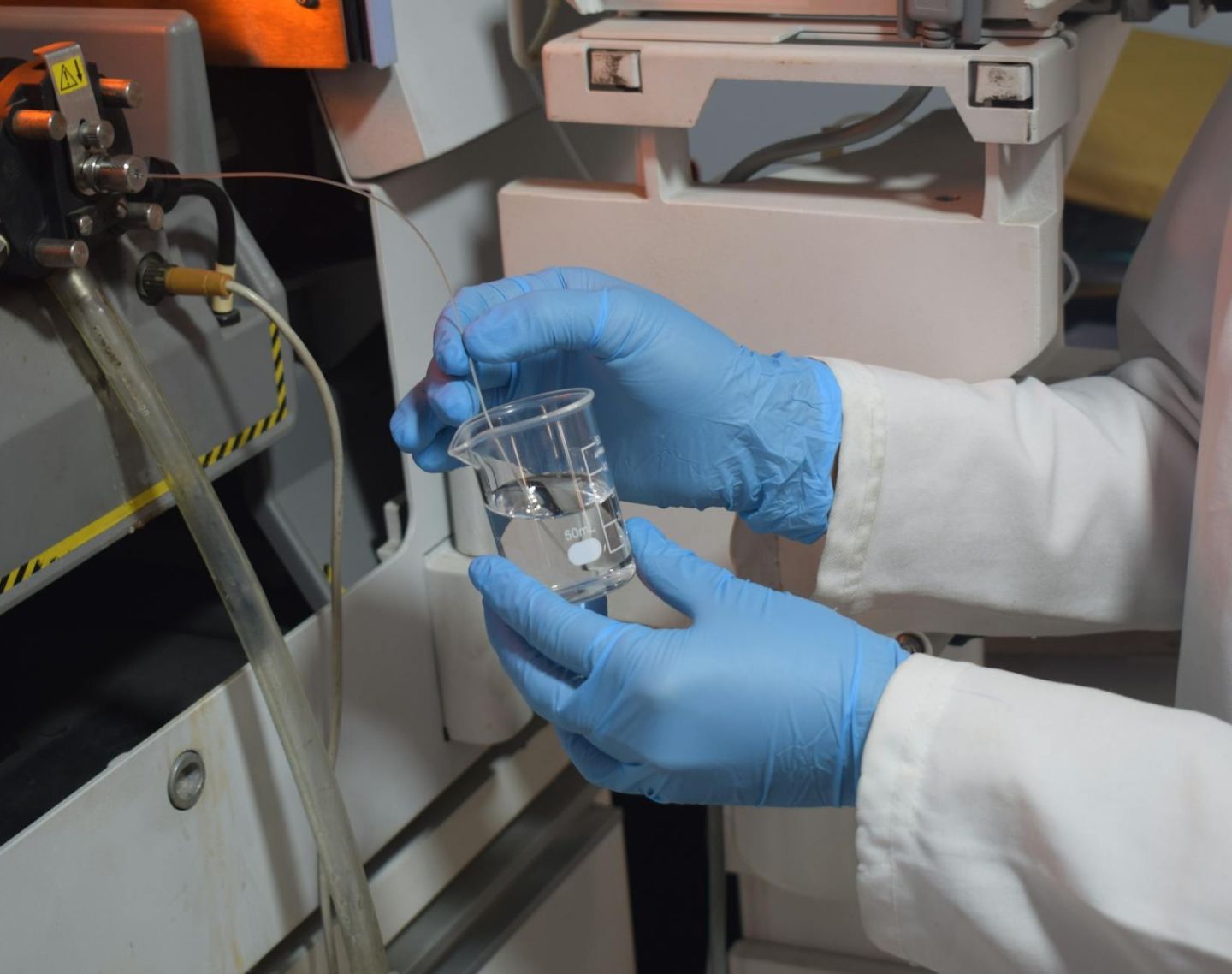 pexels-carla-rubi-valda-trujillo-575575963-16960261 (1)